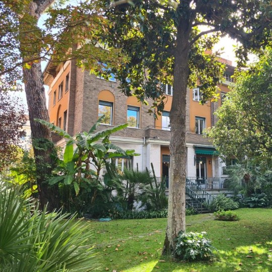 Exteriör bild från Circolo Scandinavo i Rom. Stora träd i förgrunden med ett äldre romerskt hus i bakgrunden.