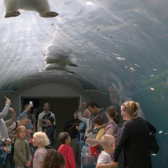 Folksamling, vuxna och barn, i en tunnel